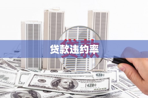 江阴贷款违约率