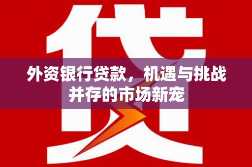 江阴外资银行贷款，机遇与挑战并存的市场新宠