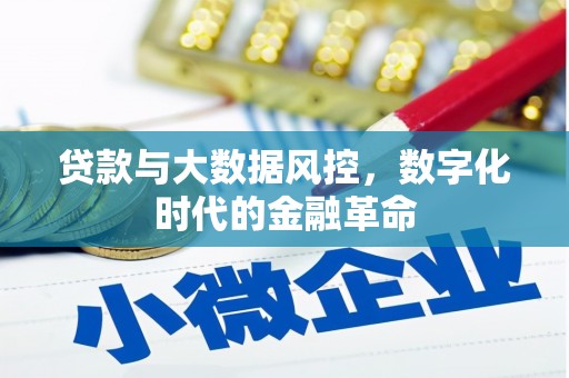 江阴贷款与大数据风控，数字化时代的金融革命