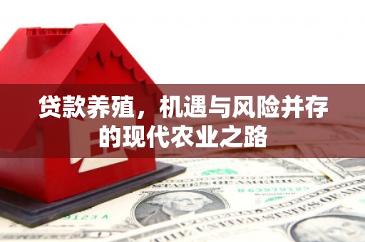 江阴贷款养殖，机遇与风险并存的现代农业之路