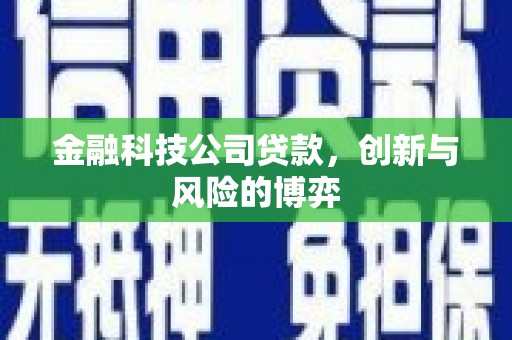 江阴金融科技公司贷款，创新与风险的博弈