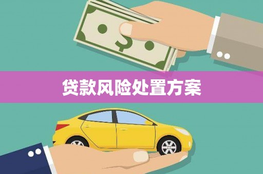 江阴贷款风险处置方案