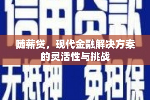 江阴随薪贷，现代金融解决方案的灵活性与挑战