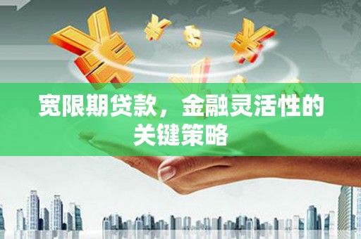 江阴宽限期贷款，金融灵活性的关键策略