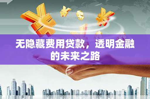 江阴无隐藏费用贷款，透明金融的未来之路