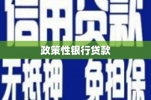 江阴政策性银行贷款
