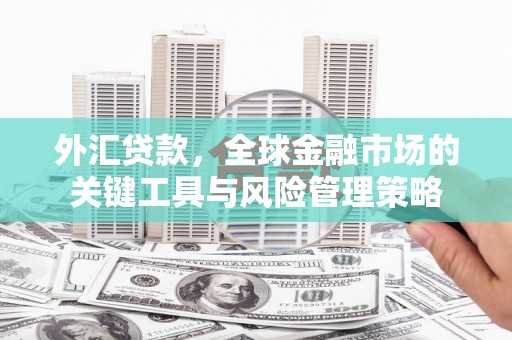 江阴外汇贷款，全球金融市场的关键工具与风险管理策略