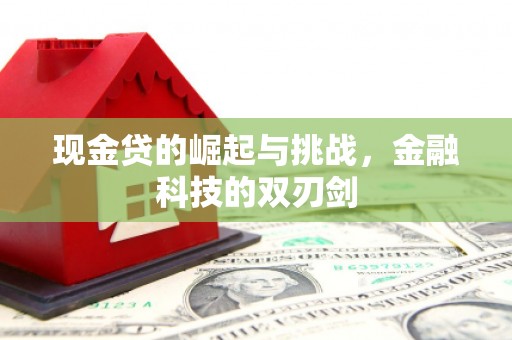 江阴现金贷的崛起与挑战，金融科技的双刃剑