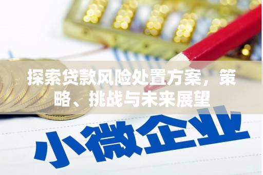 江阴探索贷款风险处置方案，策略、挑战与未来展望