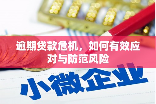 江阴逾期贷款危机，如何有效应对与防范风险