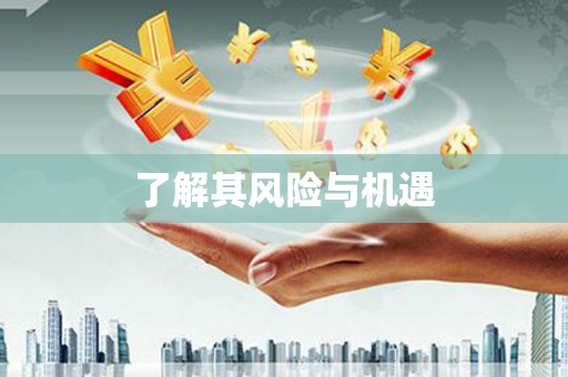 江阴了解其风险与机遇