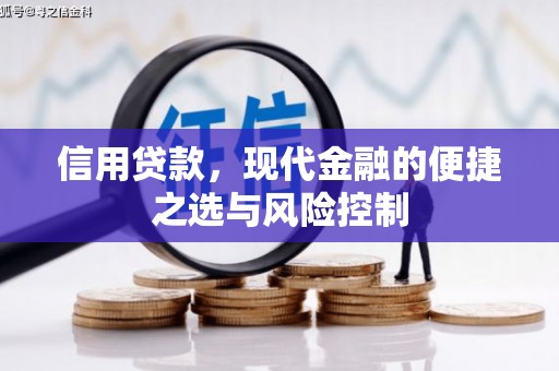 江阴信用贷款，现代金融的便捷之选与风险控制