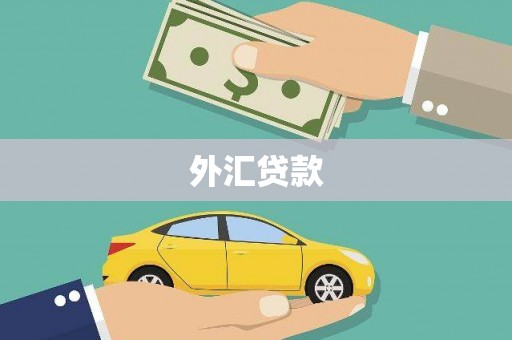 江阴外汇贷款