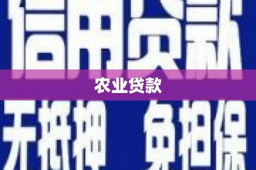 江阴农业贷款