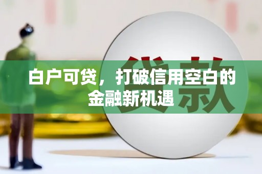 江阴白户可贷，打破信用空白的金融新机遇