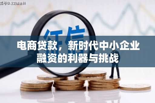 江阴电商贷款，新时代中小企业融资的利器与挑战