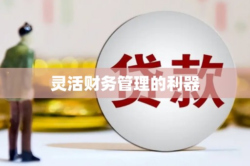 江阴灵活财务管理的利器