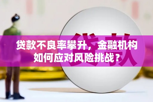 江阴贷款不良率攀升，金融机构如何应对风险挑战？