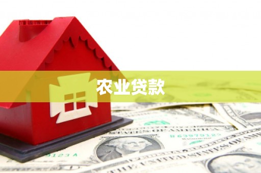 江阴农业贷款