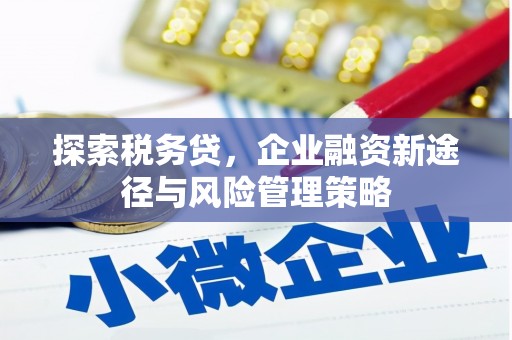 江阴探索税务贷，企业融资新途径与风险管理策略