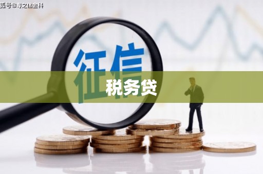江阴税务贷