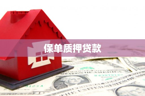 江阴保单质押贷款