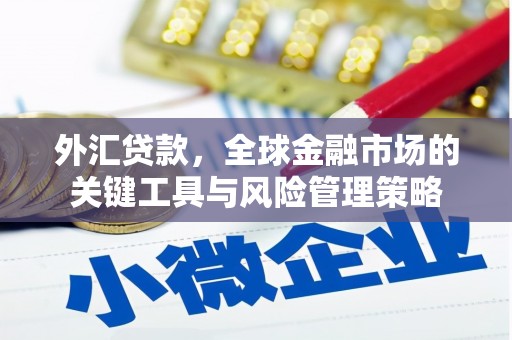 江阴外汇贷款，全球金融市场的关键工具与风险管理策略