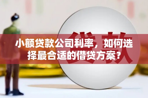 江阴小额贷款公司利率，如何选择最合适的借贷方案？