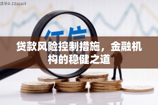 江阴贷款风险控制措施，金融机构的稳健之道