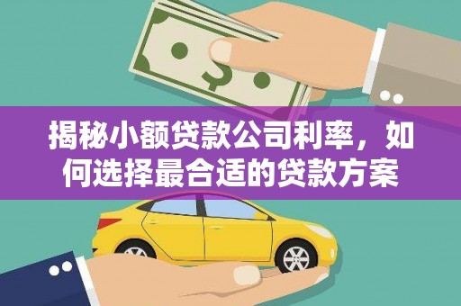 江阴揭秘小额贷款公司利率，如何选择最合适的贷款方案