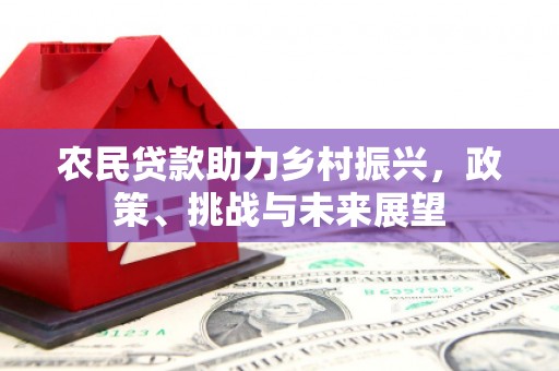 江阴农民贷款助力乡村振兴，政策、挑战与未来展望