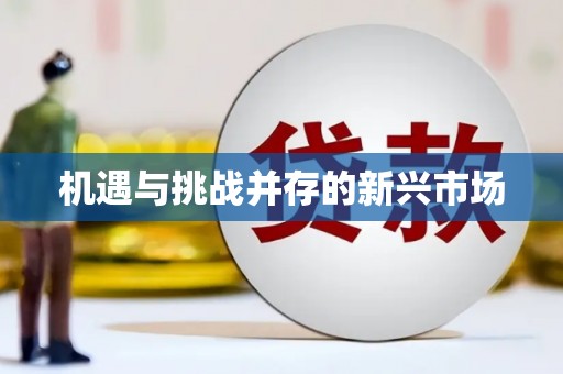 江阴机遇与挑战并存的新兴市场
