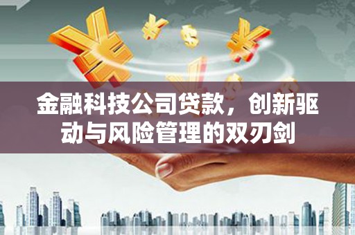 江阴金融科技公司贷款，创新驱动与风险管理的双刃剑